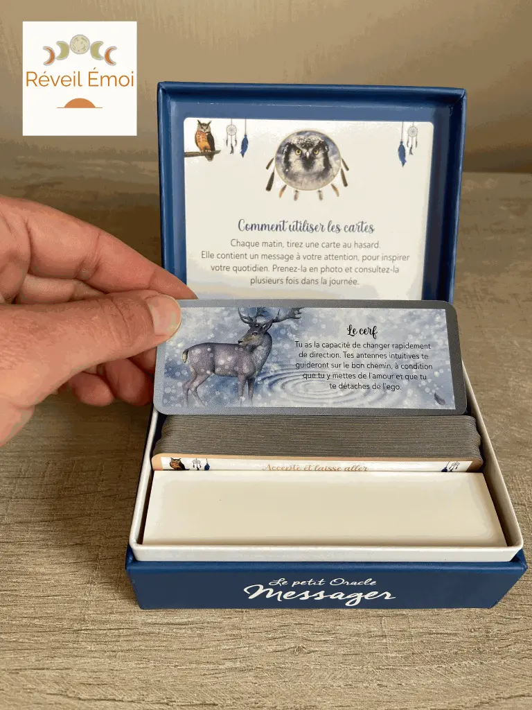 l'oracle messager.webp