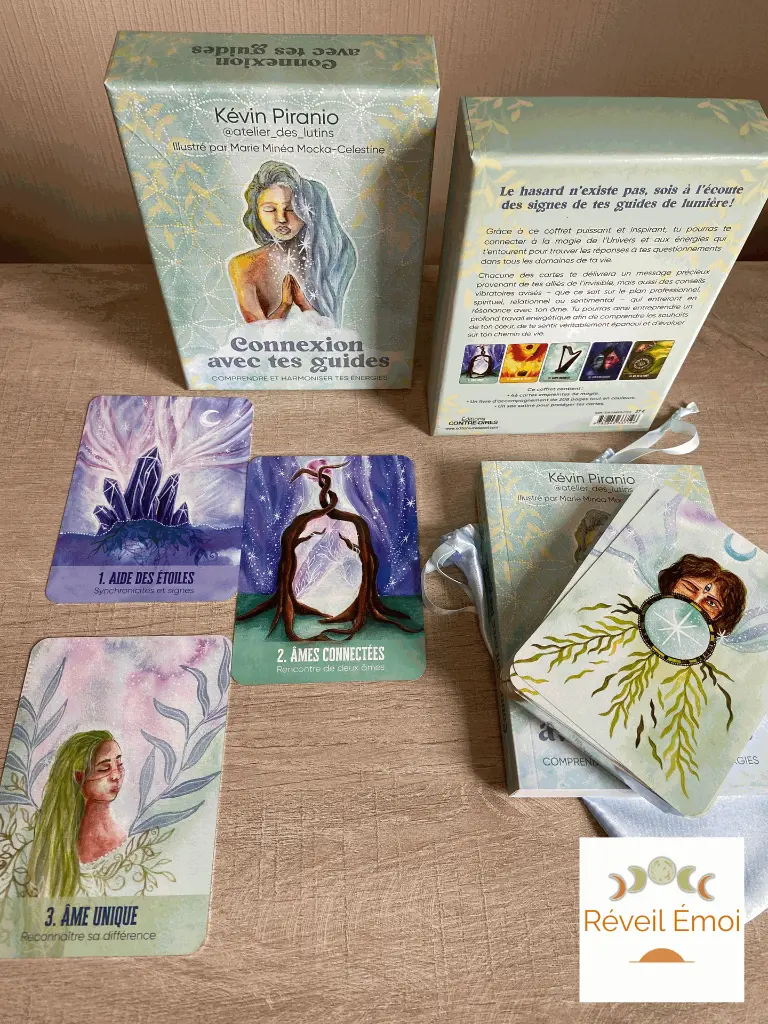 connexion avec tes guides.webp