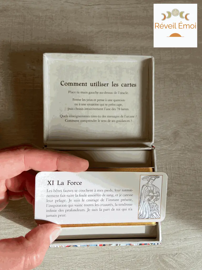 le petit oracle du tarot.webp