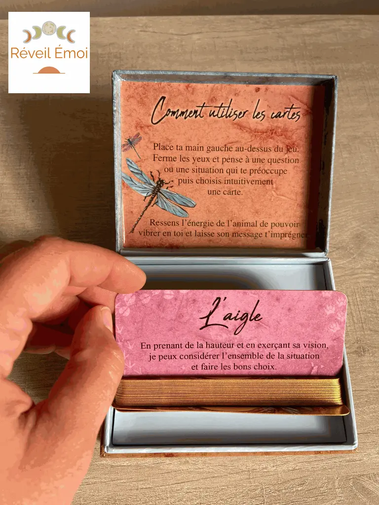 le petit oracle des animaux de pouvoir.webp