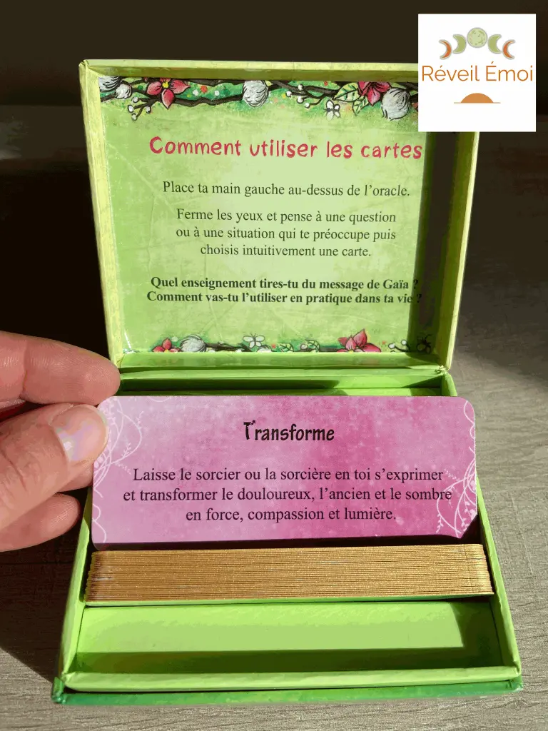 le petit oracle de Gaïa.webp