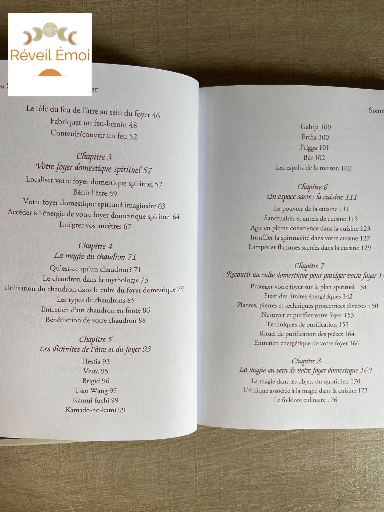 la sorcière moderne du foyer 3.webp