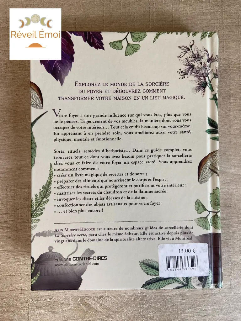 la sorcière moderne du foyer 2.webp