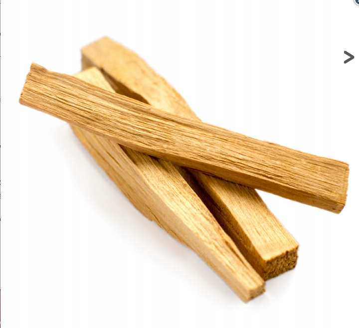 Bâtons Palo Santo Arbre vert