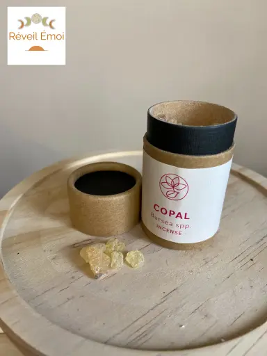 [ENC-404] Encens résine Copal
