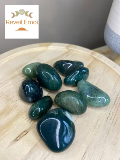 [AGA-01] Agate Mousse pierre polie